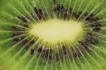 Kiwi