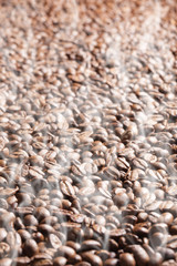 Obraz premium roasted coffee beans