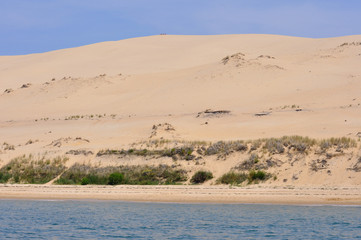 Fototapeta na wymiar dune du pyla 12