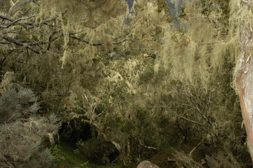 © Foto Stefano Ember