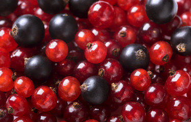 Red currant and black currant backgroung