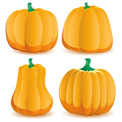 Set of pumpkins isolated on white, part 2, vector illustration