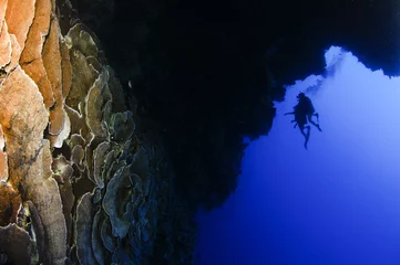 Papier Peint photo Plonger scuba divers in Blue hole
