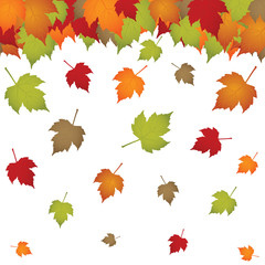 Autumn background