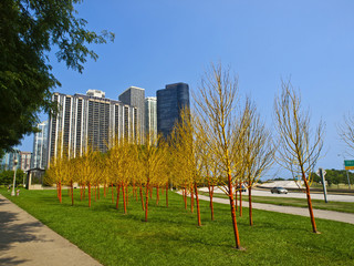 Painted Trees in Butler Field, Chicago