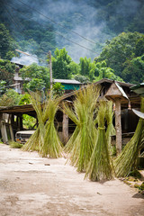 Chiang Mai Village