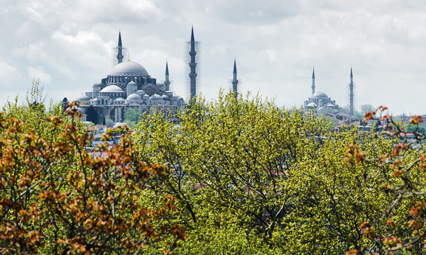 Winter view of the Suleymaniye Mosque in Istanbul, Turkey