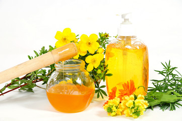 Body  Sugaring honig Wellness