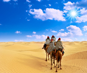 camel caravan in desert Sahara