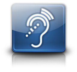 Glossy Square Button 