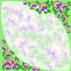 Fototapeta na wymiar frame of violets