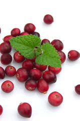 Cranberry with a mint