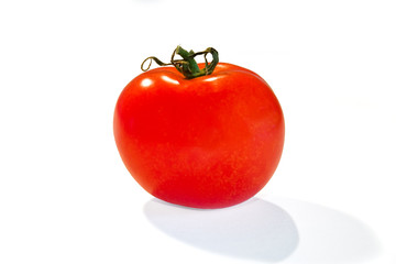 Einzelne Tomate auf weißem Hintergrund
