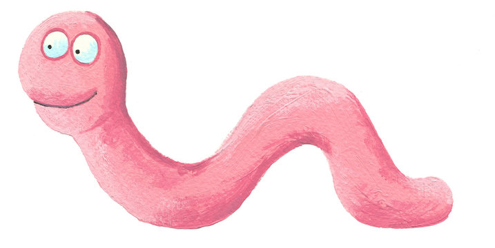 Cute pink worm