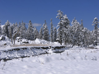 Mountain river after a fresh snowfall in the Indian Himalaya.