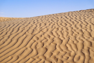 sahara desert