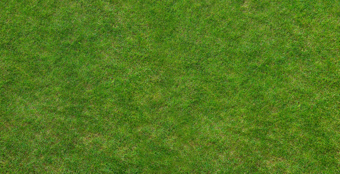 Canadian grass texture © Alex Mit
