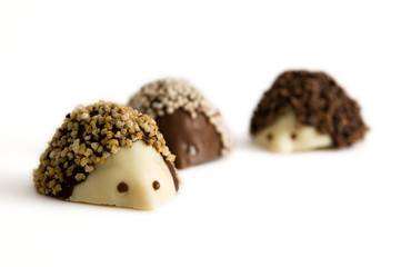 Igel