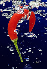 Chilli pepper falling in water  with air bubbles