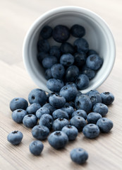 frische Heidelbeeren