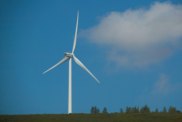 Modern white wind turbine or wind mill producing clean energy