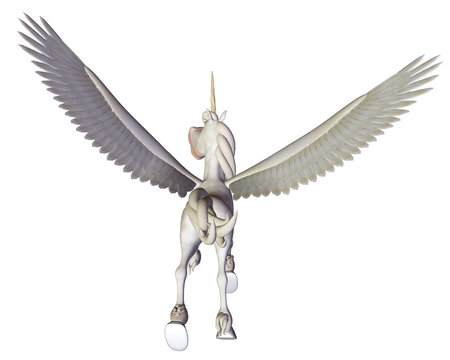 Pegasus back