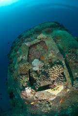 Funnel of the Gianiss D Shipwreck