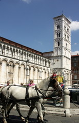 Fototapeta na wymiar Lucca, San Michele