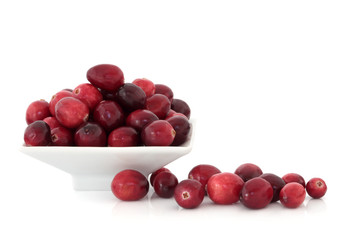 Cranberry Fruit