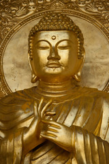 Gold Budha