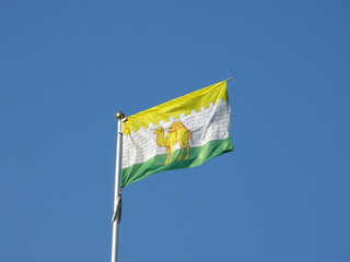 Flag of Chelyabinsk
