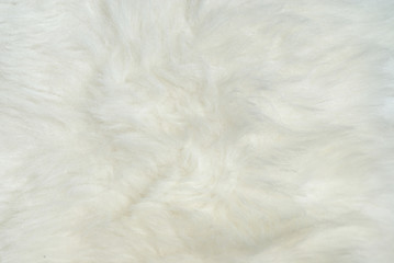 Closeup of white fur coat.