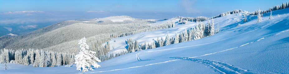 winter mountain panorama landscape