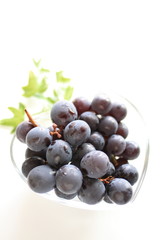 Japanese Autumn fruit, grapes