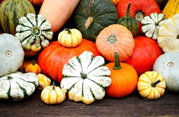 Kürbisse