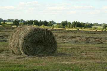 Haystack
