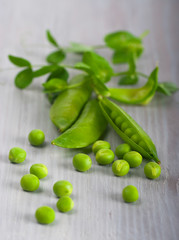 Pods of green peas on wooden table