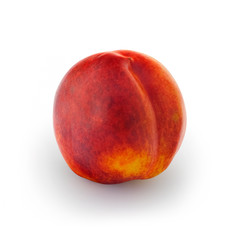 Nectarine