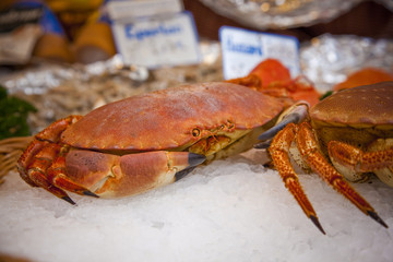 Fresh Crab