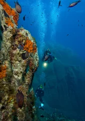 Tragetasche Underwater world. Divers and fishes © frantisek hojdysz