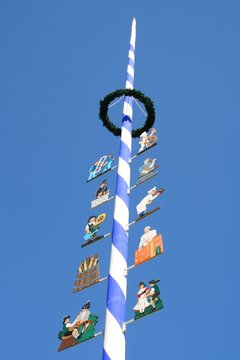 Maibaum in Oberbayern von unten