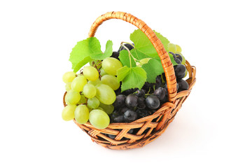 Grapes in the basket