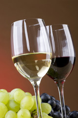 Red and white wine