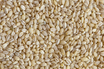 highland barley