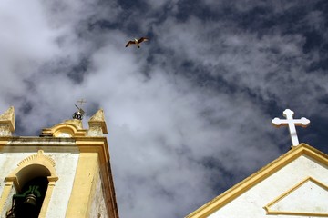 Kreisender Albatros &uuml;ber einer Kirche