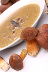 Mushroom soup surrounded by mushrooms (focus in front)