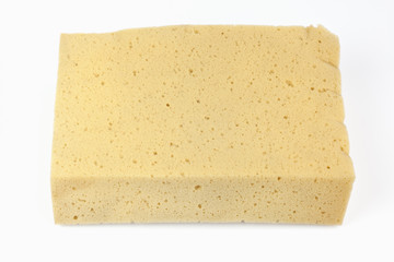 yellow sponge