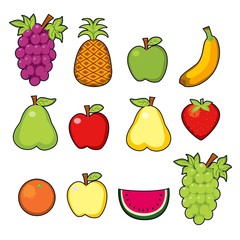 Set of twelve colorful juicy fruits