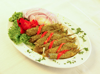 vine leaf stuffed with rice