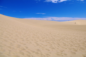Fototapeta na wymiar 日本の砂丘